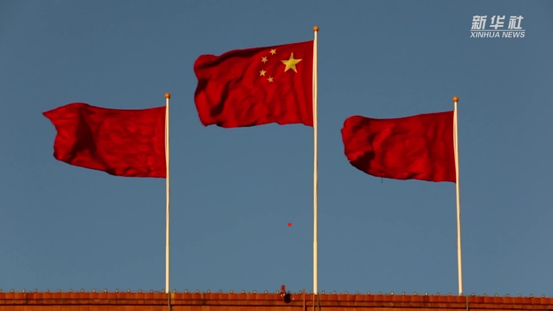 拯救穆尔小马
